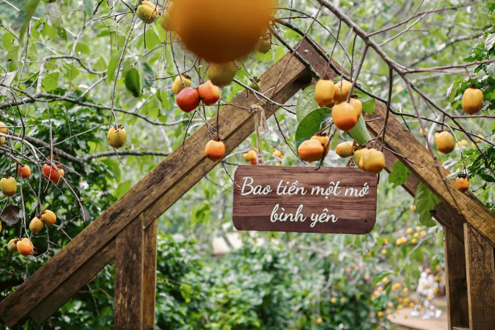 Bao Tiền Một Mớ Bình Yên là một góc nhỏ mang hơi thở thiên nhiên, níu chân du khách bởi cây cỏ xanh tươi và thác suối chảy rì rào (Nguồn: Fanpage Bao tiền một mớ bình yên)